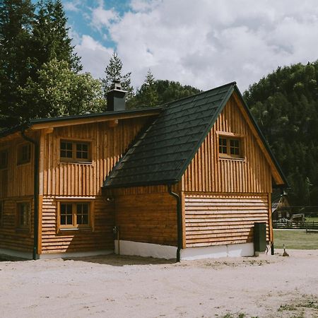 Naturparkresort S'Keuscherl Wildalpen Εξωτερικό φωτογραφία